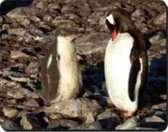 2 Pinguins  Muismat