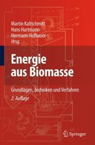Energie Aus Biomasse