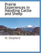 Prairie Experiences in Handling Cattle and Sheep