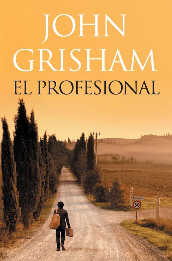 El profesional - cover