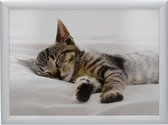 Laptray Sleeping Kitten, slapend poes