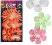 Petaloo bloemen paprika , Papieren bloemen, scrapbooking