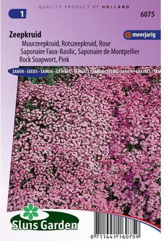 Foto: Sluis garden zeepkruid rose pink saponaria 