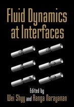 Fluid Dynamics at Interfaces