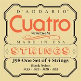 D'Addario J98 Cuatro-Venezuela Strings