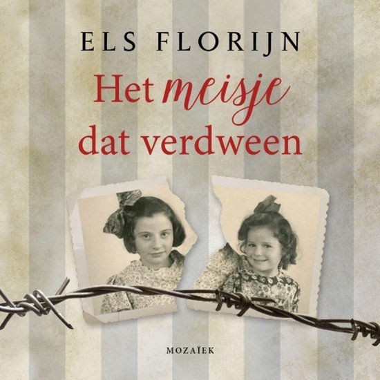 Het meisje dat verdween - cover