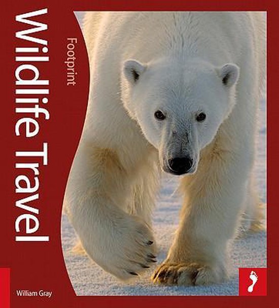 Footprint Wildlife Travel