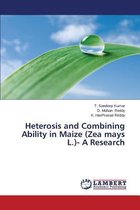 Heterosis and Combining Ability in Maize (Zea Mays L.)- A Research