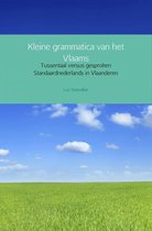 Kleine grammatica van het Vlaams