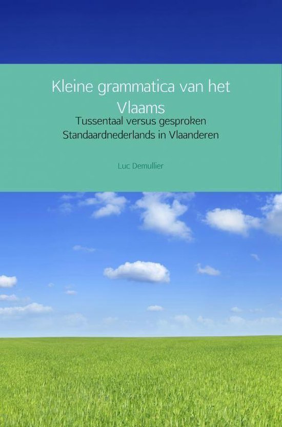 Kleine grammatica van het Vlaams - Luc Demullier | 