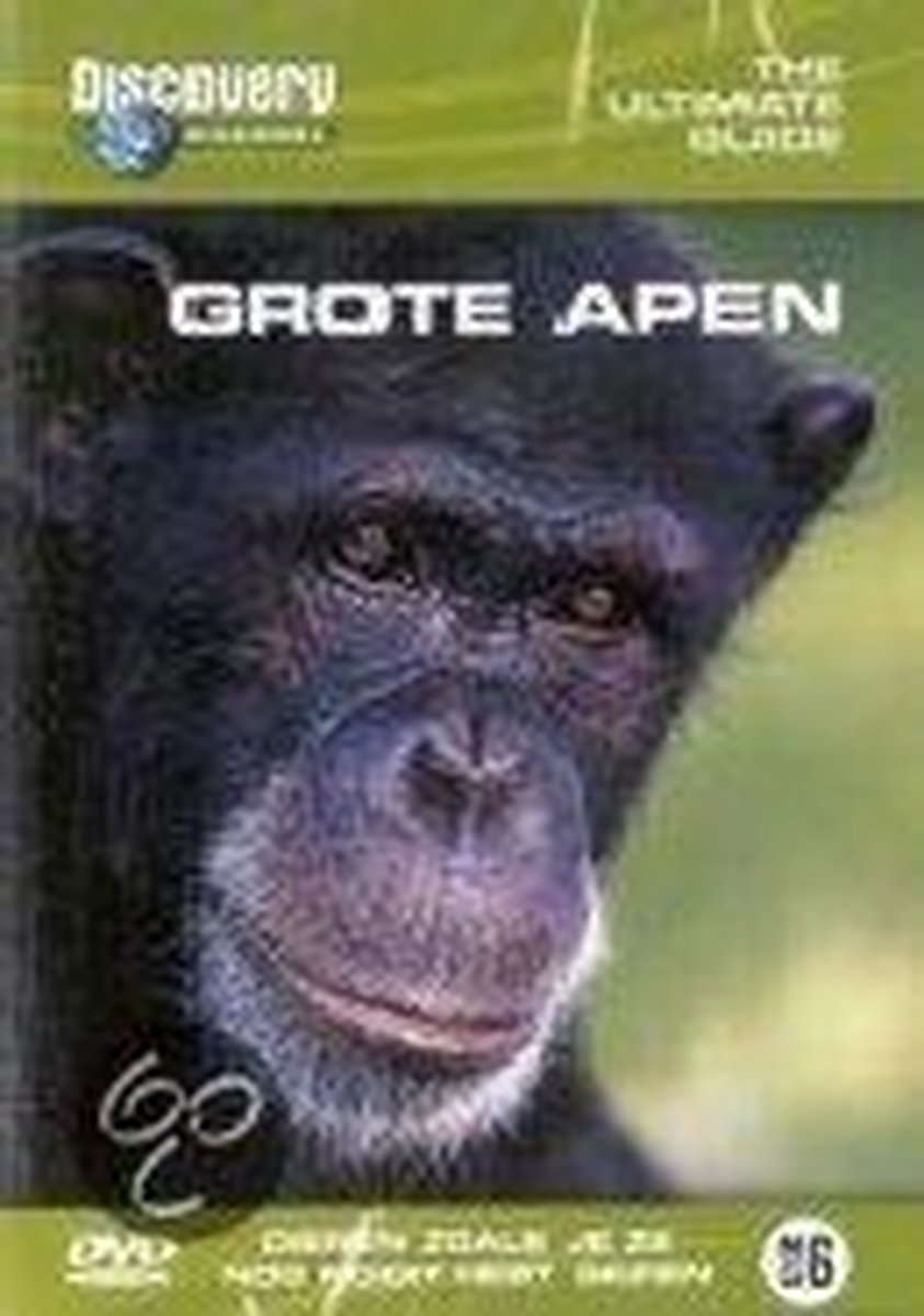 Grote Apen