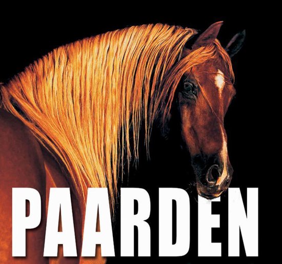 9789058411082 - Paarden Kubusboek