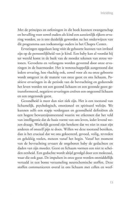De negen magische maanden