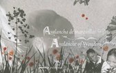 Avalanche of Wonders / Avalancha de Maravillas