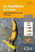Hors collection - Les Amphibiens de France