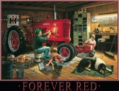 Wandbord - Forever Red -20x30cm-