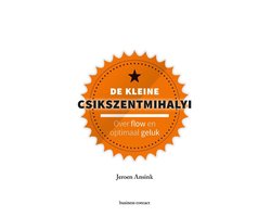 Omslag van Kleine boekjes - grote inzichten - De kleine Csikszentmihalyi