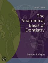 The Anatomical Basis of Dentistry