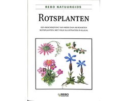 Rotsplanten
