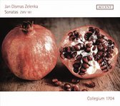 Collegium 1704 & Vaclav Luks - Sonatas Zwv 18 (2 CD)