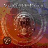 Voices of Rock MMVII