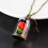 Fashionidea – mooie bronskleurige ketting met rode roos in glazen stulp en twee bedeltjes in de vorm van een sleutel tot je hart en een vlindertje met de tekst created for you.