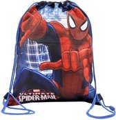 Spiderman Schoenentas