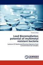 Lead Bioremediation potential of multimetal resistant bacteria