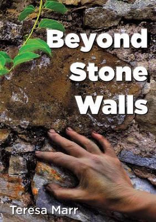 Omslag van Beyond Stone Walls