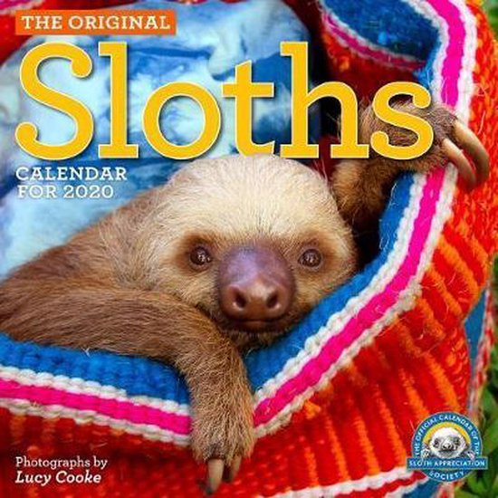 2020 Sloths Wall Calendar, Lucy Cooke 9781523505777 Boeken