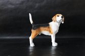 beeld Beagle