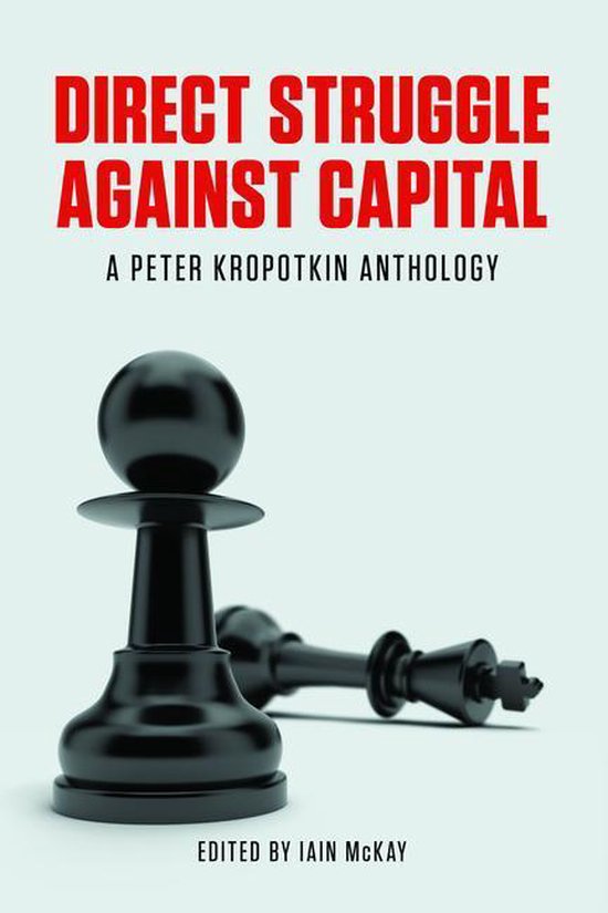 Direct Struggle Against Capital - cover