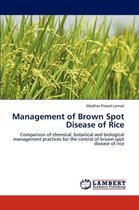 Management of Brown Spot Disease of Rice