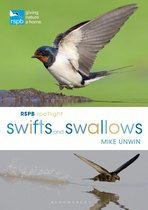 RSPB - RSPB Spotlight Swifts and Swallows