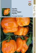 Hortitops zaden - Paprika - Orange Horizon 10 zaden