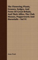 The Flowering Plants, Grasses, Sedges, And Ferns Of Great Britain, And Their Allies, The Club Mosses, Pepperworts And Horsetails - Vol VI