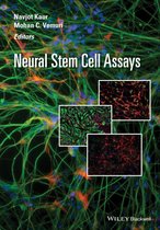 Neural Stem Cell Assays