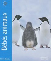 B'B's Animaux