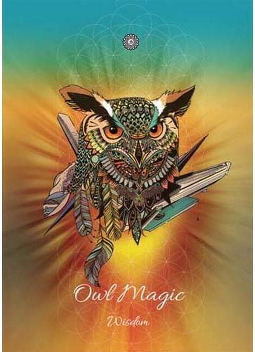 Karin Roberts Wenskaart Owl Magic