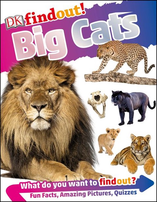 DKfindout! - DKfindout! Big Cats - cover