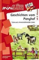 miniLÜK. Geschichten vom Ponyhof