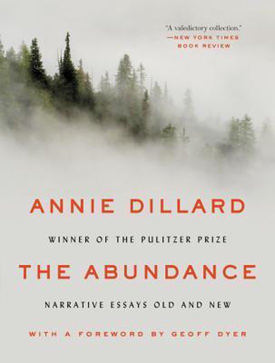 The Abundance - cover