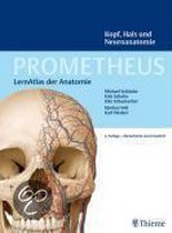 Prometheus Kopf, Hals und Neuroanatomie