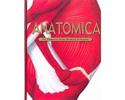 Anatomica