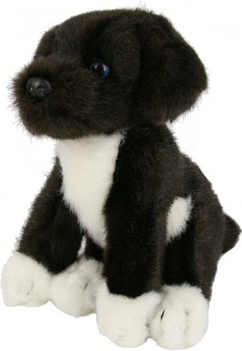 Knuffel Friese Stabij puppy 22 cm | bol.com