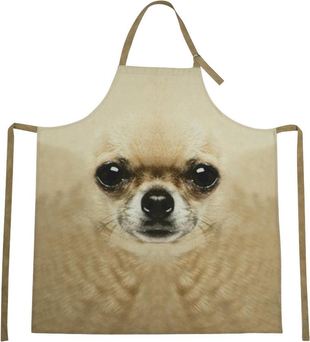 Mars & More schort chihuahua