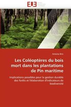 Les Coléoptères du bois mort dans les plantations de Pin maritime