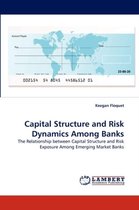 Capital Structure and Risk Dynamics Among Banks