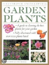 Ie Garden Plants A Guide