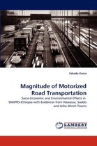 Magnitude of Motorized Road Transportation